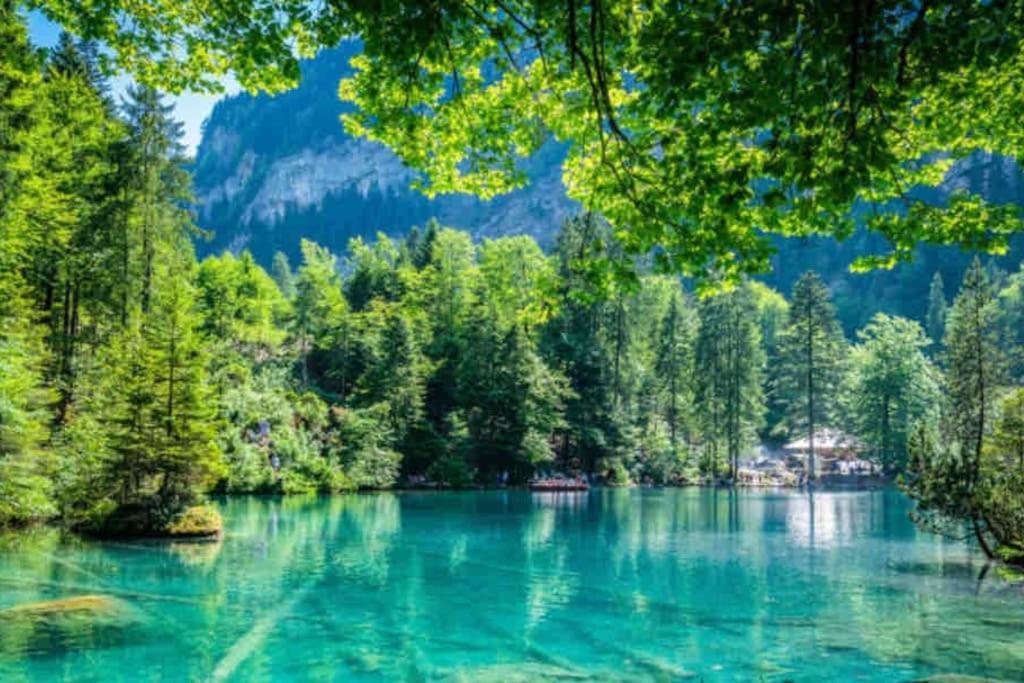 Bellevue & Classy Mountain View Apartment Kandersteg Esterno foto