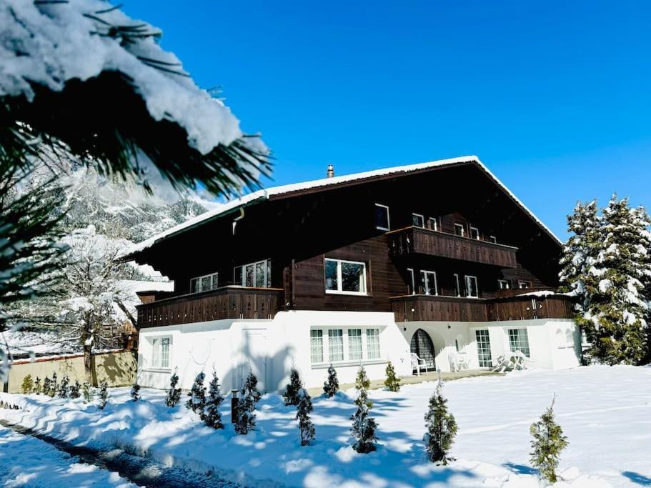 Bellevue & Classy Mountain View Apartment Kandersteg Esterno foto